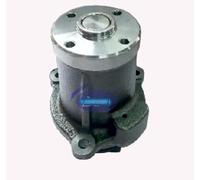 AEspares Pompe à eau avec petit boîtier compatible avec moteur Leyland Hino 2519 BS4 3113N/3187N