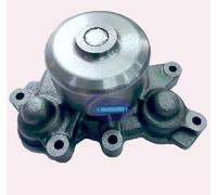 AEspares Pompe à eau avec poulie en fer S.G et boîtier en aluminium compatible avec Eicher New Model E694 TBK ID 316831