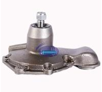 AEspares Pompe à eau sans plaque de base moyeu et poulie compatible avec moteur Leyland 690 Hippo Bewer A7070400/ A7074600/ B7074604