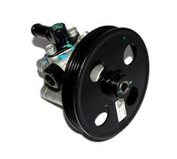 AEspares Pompe de direction assistée 1102DA3133N compatible avec Mahindra Scorpio 2.0 2.2