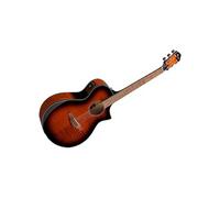 Ibanez Ibanez AEWC400-AMS