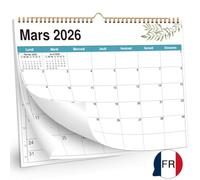 AEYAKA Calendrier mural 2026-21 x 28.7 cm - Format A4-14 mois de novembre 2025 à décembre 2026 - Mensuel à suspendre avec aperçu des vacances - Français