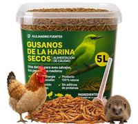 AF® - 4L vers de Farine pour Poules, 600gr vers de Farine séchés 100% naturels pour Poules, Nourriture pour hérisson et Oiseaux, Poudre de Poisson séché, Verre doseur Inclus