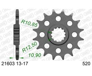 AFAM 21603-15 Pignons à chaîne