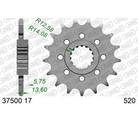 AFAM Pignon acier standard - 520, taille 10 mm