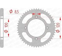 AFAM pignon acier standard arrière 38200 - 428