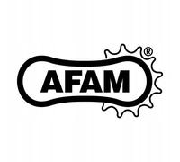 AFAM Pignon avant pour chaîne 520 SC, référence 73301+12