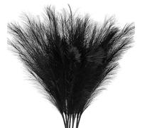 AFAMITOO Herbe de la pampa artificielle noire - Lot de 8 tiges moelleuses de 97 cm de haut - Décoration bohème pour la maison et la fête de mariage
