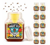 Afenau Lot de 10 pièges à mouches à fruits très efficaces avec entonnoir | Attrape-mouches à fruits, protège les plantes, tue-mouches des fruits, jusqu'à 3 semaines pour l'intérieur