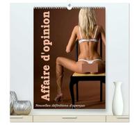 Affaire d'opinion - Nouvelles définitions d'aperçus (Calendrier mural 2026 DIN A2 horizontal) calendrier de bureau: Nouvelles définitions d'aperçus érotiques