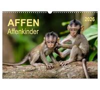 Affen - Affenkinder (Wandkalender 2026 DIN A3 quer), CALVENDO Monatskalender: Kleine Wesen, die man einfach gern haben muss.