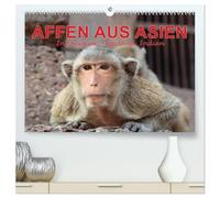 AFFEN AUS ASIEN Indonesien, Thailand, Indien (hochwertiger Premium Wandkalender 2026 DIN A2 quer), Kunstdruck in Hochglanz: Erleben Sie die ... Indien oder im Affenwald von Ubud auf Bali.