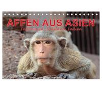 AFFEN AUS ASIEN Indonesien, Thailand, Indien (Tischkalender 2026 DIN A5 quer), CALVENDO Monatskalender: Erleben Sie die faszinierende Welt der ... Indien oder im Affenwald von Ubud auf Bali.