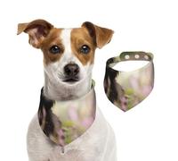 Affenpinscher Lawn Black Dogs Monkey Terrier,Bandanas pour Chien, écharpe en Coton, Bavoirs réglables pour Animaux de Compagnie,L