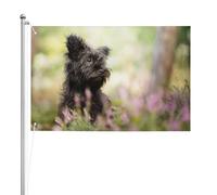 Affenpinscher Lawn Black Dogs Monkey Terrier,Drapeau de jardin, bannière décorative, drapeau double face, 2 x 3 pieds, pour extérieur et intérieur