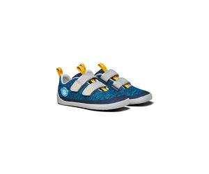 AFFENZAHN Sneakers enfant KNIT HAPPY Pingouin bleu | 25