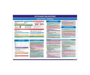 AFFICHAGE OBLIGATOIRE TRAVAIL, AFFICHE OBLIGATOIRE ENTREPRISE, PANCARTE CODE DU TRAVAIL, AFFICHAGE RÉGLEMENTAIRE TRAVAIL, AFFICHAGE NORMES DE TRAVAIL + VENDU AVEC FEUTRE - Plastique PVC 1,5 mm - Plast
