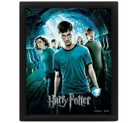 AFFICHE 3D CARÊME HARRY POTTER PHOFRIX - GADGET