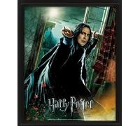 AFFICHE 3D CARÊME HARRY POTTER SNAPE - GADGETS