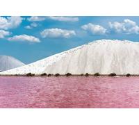 Affiche 60 x 40 cm : Aigues-Mortes, Salins du Midi, Panorama avec prairies salines