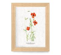 Affiche à planter a4 - girouette