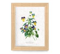 Affiche à planter a4 - pensées sauvages