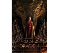 Affiche - ABYSTYLE - GBYDCO256 - HOUSE OF THE DRAGON - 91,5 x 61 cm - Multicolore - Rectangulaire