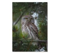 Affiche Chouette 210 x 297 Chouette branche pin nature Zen Poster Deco
