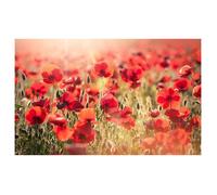 Affiche coquelicots nouveaux, 60x40cm - made in France