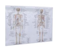 Affiche D’anatomie Humaine Muscles Squelettiques, Tissu Soie | Lecture Facile, Outil D’enseignement, pour Étudiants en Soins Infirmiers, Salle de t Salle D’attente Médicale