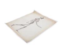 Affiche D’anatomie Humaine sur Toile, Tableau Squelettique
