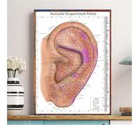 Affiche D'Anatomie Avec Diagramme De Points D'Acupuncture, Réflexologie Auriculaire, Art Mural, Peinture Sur Toile Médicale, 40 X 60 Cm