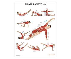 Affiche d'anatomie du Pilates/Tableau, affiches d'anatomie et de physiologie, affiche de fitness, 45x60cm, 24x18 pouces, guide d'entraînement Pilates, anatomie sportive
