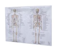 Affiche D'anatomie Humaine en Tissu Soie, Poster Éducatif Clair | Cliniciens et Apprenants, Décor Mural de Classe, Usage Laboratoire, Léger et Portable