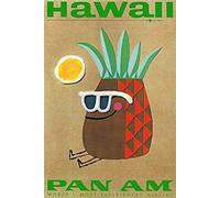 Affiche de voyage style hawaii ananas lunettes de soleil aérienne rétro moderne vintage voeux fantaisie 20,3 x 30,5 cm en métal affiche murale drôle homme grotte cool plaque de porte murale nouveau