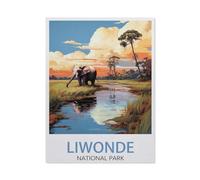 Affiche de Voyage Vintage du Parc National de Liwonde au Malawi,Jigsaw Puzzle 1000 Pièces pour Adultes Enfants Puzzle en Bois , Divertissement Bricolage Jouets Jeux De Famille Créatif(75x50cm)-BC41