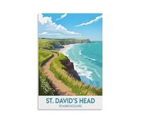 Affiche de voyage vintage représentant la tête de Saint David, impression sur toile, style moderne, pour la décoration du salon (20 x 30 cm).