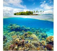 Affiche Décoration Murale - FABULOUS BIJOUX - Ile Déserte - 31cm x 31cm - Multicolore - Haute Définition