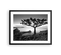 Affiche Decoration Murale Moderne Poster Cadre Noir 50x40cm Arbre Noir Et Blanc Vue Deco Affiches Murales Wall Art Design Tableau Decoration Salon Chambre Cuisine Decor P2BAA50x40-4297