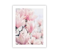 Affiche Decoration Murale Moderne Poster sans Cadre 40x50cm Magnolia Fleurs Rose Deco Affiches Murales Wall Art Design Tableau Decoration Salon Chambre Cuisine Decor P2XPA40x50-4396