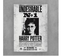 Affiche Décoration Murale - PYRAMID - Harry Potter - Avis de Recherche - 42 x 32 cm - Mixte