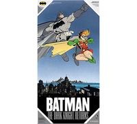 Affiche Dk Ret Batman Et Robin Verre Affiche Sd Toys