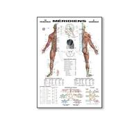 Affiche Du Méridien Chinois, Peinture Sur Toile Représentant Le Méridien Chinois, Décoration D'Intérieur, Tableau Modulaire Représentant L'Anatomie Du Corps Humain, Tableau D'Art Mural Médic