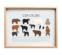 Affiche Éducative sur les Ours - Illustrations et Descriptions | Décoration Murale Pédagogique pour Chambre d’Enfant, École ou Bureau | Cadeau pour Passionnés de la Faune Sauvage et Animaux