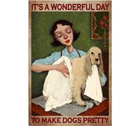 Affiche en métal « Groomer With The Dog It? ¡¥S A Wonderful Day To Make Dogs Pretty » - 20,3 x 30,5 cm
