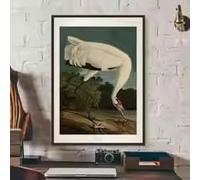 Affiche et impression d'une grue blanche d'Amérique - Décoration murale pour bar, salon, maison - Peinture sur toile (60x90cm/cadre)