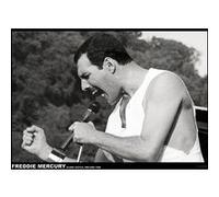 Affiche - Freddie Mercury - Ireland 1986 - 59x84cm G