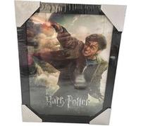 Affiche Harry Potter 30x40 cm Pyramid International