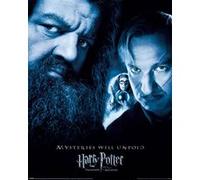 Affiche - Harry Potter - Mysteries Will Unfold - 40x50cm G