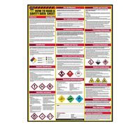 Affiche « How to Read A Safety Data Sheet » (SDS/MSDS) - 61 x 83 cm - Papier enduit UV (poster)